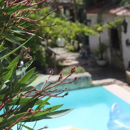別荘 Casa Da Azenha E Do Silencio